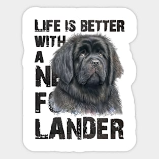 Newfoundlander Sticker